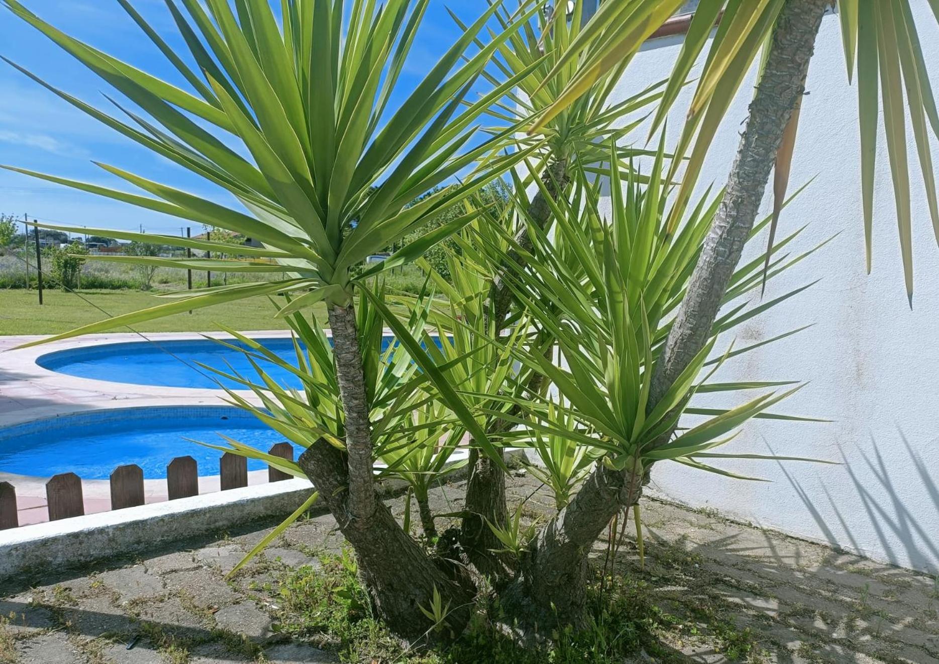 Casa Do Vale Hotel Évora Dış mekan fotoğraf
